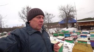 ПАСЕЧНЫЕ РАБОТЫ, РЕЖЕМ СУШЬ И СУШИМ ПЕРГУ, .mp4