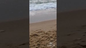 Бархатный сезон.