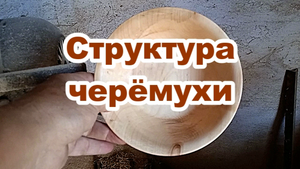 Структура черемухи. Токарные работы по дереву.mp4