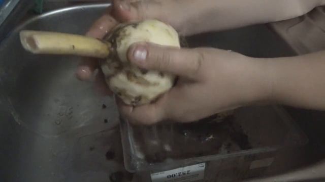 Уход за рябчиком после цветения смотреть онлайн