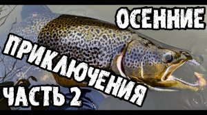 Охота за королем реки, осенние приключения, часть 2, резим сети брэков.