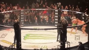 ПОЛНЫЙ БОЙ - ФЕДОР ЕМЕЛЬЯНЕНКО vs БЕЙДЕР.СЛОВА ПОСЛЕ БОЯ.БЕЛАТОР 290.НОВОСТИ ММА