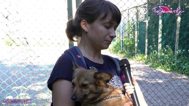 Что такое аджилити?