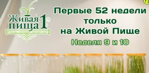 Евгений Агафонов, Личный опыт сыроедения Проект "52 недели". Неделя 8 (видео 53)