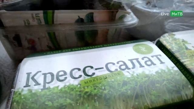 Микрозелень из Магнита