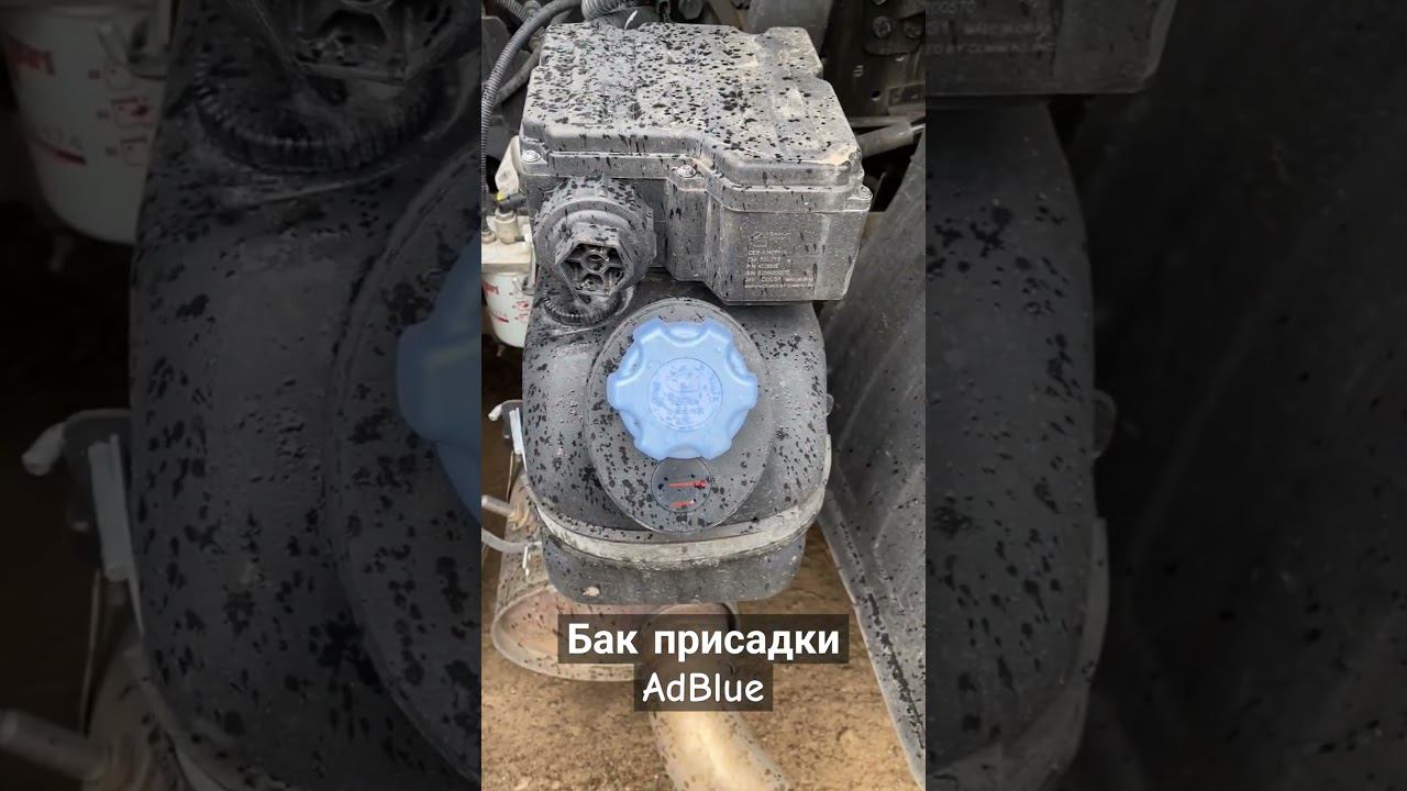 Отключение мочевины AdBlue на Камаз Cummins