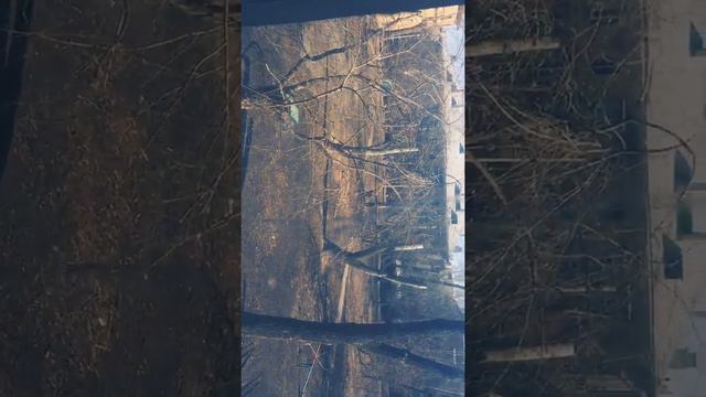 Хотели поехать на дачу а не получилось😔😔 смотреть онлайн