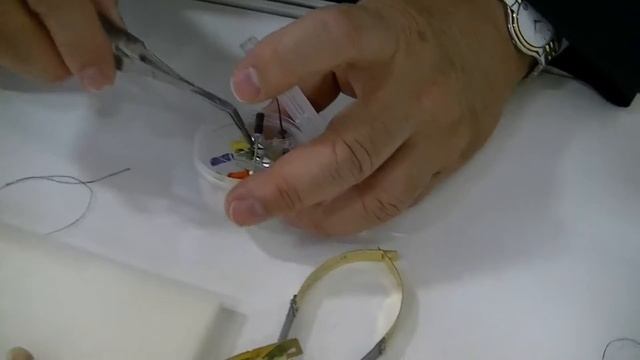 Laschal Multifunctional Forceps