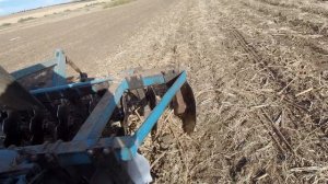 МТЗ 892 дисковка под посев озимой пшеницы