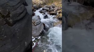 Ловим форель в горной реке на червя