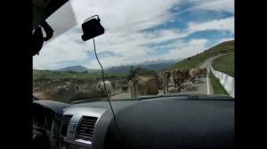 Отдых на Кавказе 2021, поездка на Джилы-Су на Уаз Патриот