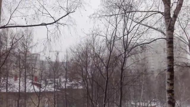 Снег (InstaVideo)