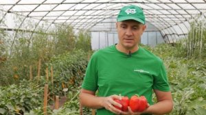 Сладкий перец с толстыми стенками - КРАСНЫЙ БОК