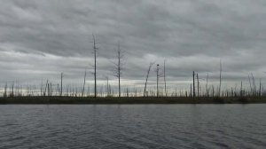 С дядей Толей по Арге, хорошо в Тайге! Ч 4.8 В которой хоть и есть караси, но она грустная