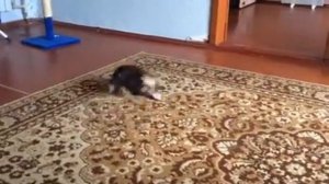 Мини йорк игра