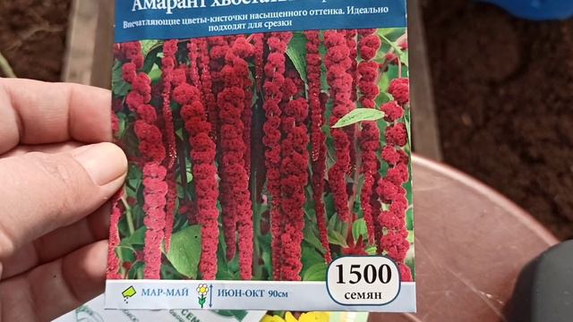 16 апреля 2021 г. Обзор посевов из просроченных семян! Моя печалька! 😌 смотреть онлайн