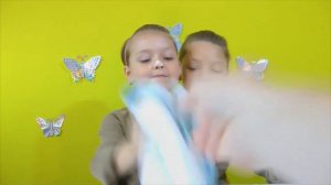 ЧЕЛЛЕНДЖ СИАМСКИЕ БЛИЗНЕЦЫ челлендж 2016