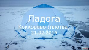 Рыбалка на Ладоге (плотва), Коккорево, 21.02.2016