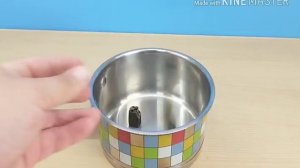 ЖЕЛЕЙНЫЙ МЕДВЕДЬ ВАЛЕРА СТАЛ КОЛДУНОМ