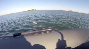 Рыбалка на Шульбинском водохранилище. Лето 2015г.