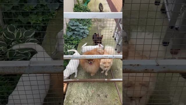 Возмущаются на меня.