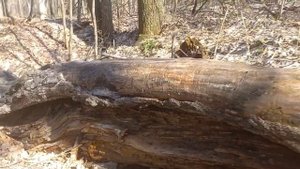 Вернулись из Казани в Сибирь.