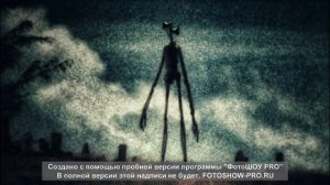 кто такое сиренаголовые