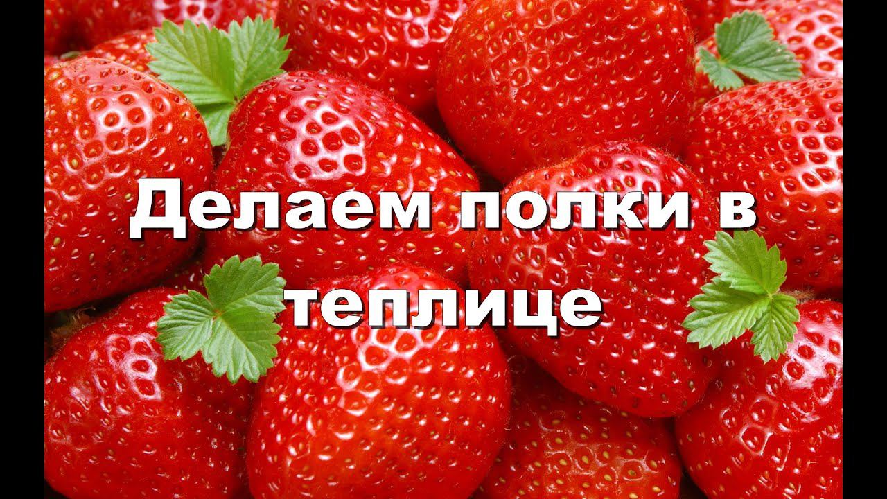 Полки для рассады в теплице