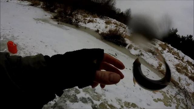 Жерлицы на реке. День первый.