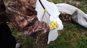 Домики для роз своими руками