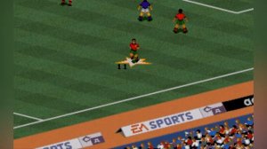 FIFA International Soccer (1993) MS-DOS - Portugal Vs France