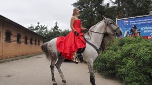 Прекрасная всадница на андалузце