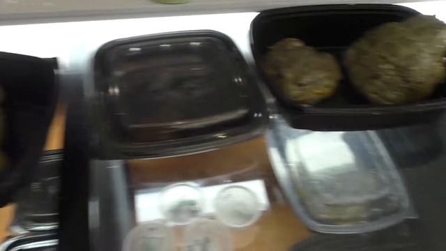 Лягушки водоносы смотреть онлайн