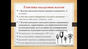 Клеточная инженерия