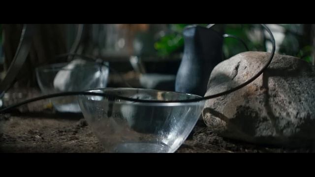 Вора заперли в квартире без еды и воды, а от 40 градусной жары он прячется в холодильнике смотреть онлайн