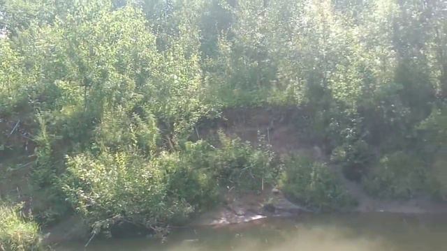 Ловля рыбы на реке! Рыбалка почти удалась... смотреть онлайн