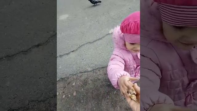 Диана кормит голубей на детской площадке. смотреть онлайн