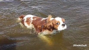 Первый раз плаваем.