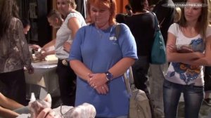 Sphynx: Medzinárodná výstava mačiek BA (07-08.08.2010)