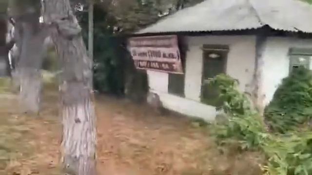 Ужасающая «картина Репина приплыли».. Бывшие менеджеры и руководители нюх и страх потеряли...