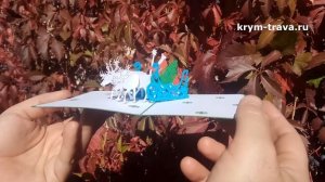 Новогодняя 3D открытка Дед Мороз в санях на оленях с ёлкой и подарками. Авторская ручная работа.