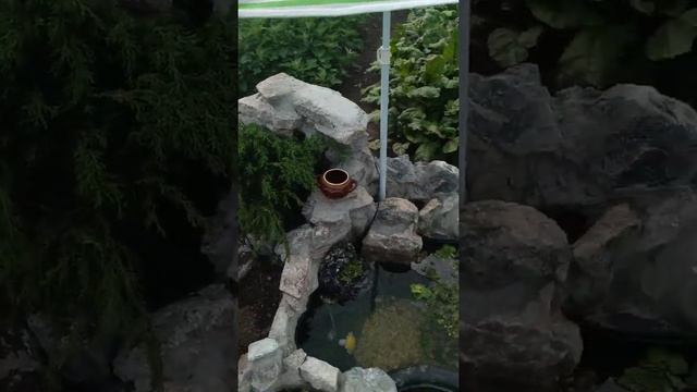 Аква дача! Начало смотреть онлайн