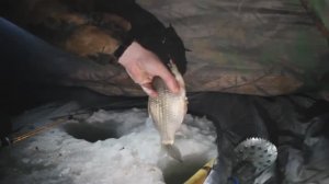 БЕШЕННЫЙ КЛЁВ КАРАСЯ ПО ПЕРВОМУ ЛЬДУ. ВОТ ЭТО НАРВАЛИСЬ!!!!
Рыбалка в Челябинской области.