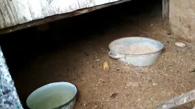 Воссоединение не получилось. Двое на одного. смотреть онлайн