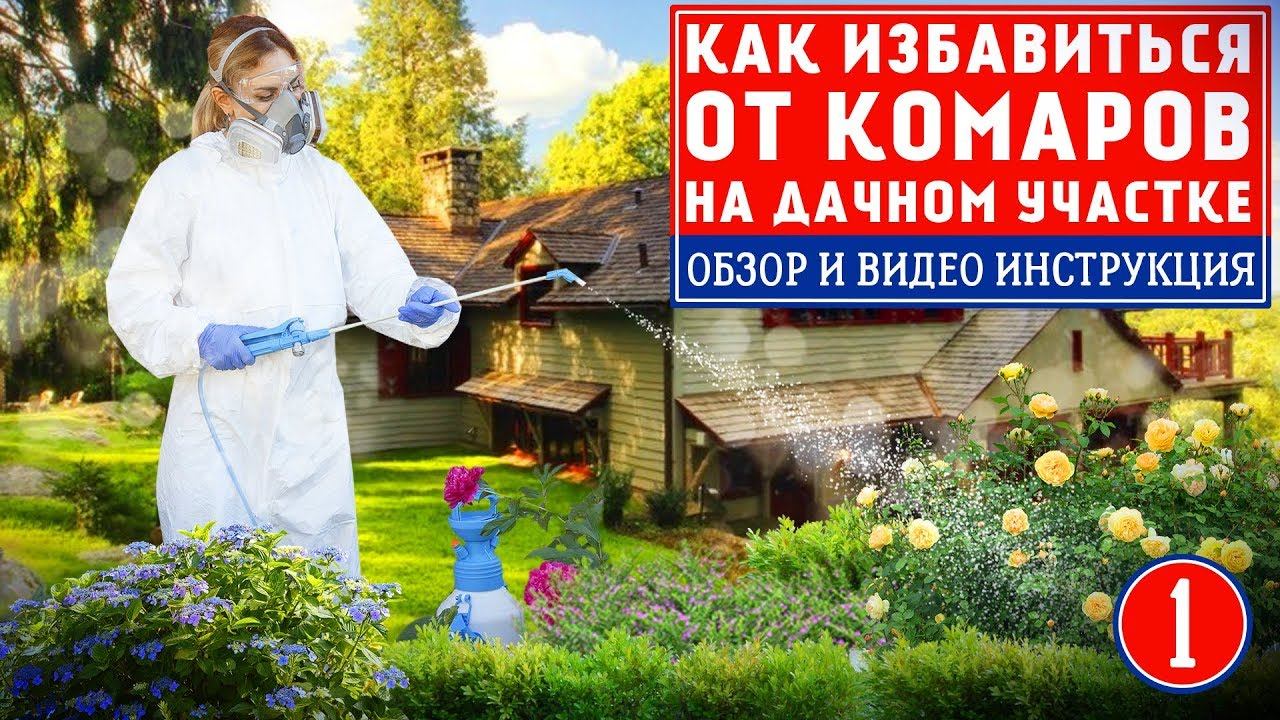 Средство от комаров. Как избавиться от комаров на участке смотреть ...