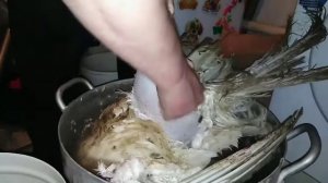 Как быстро ощипать индюка