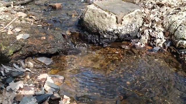 Течет ручей,бежит ручей!!!!Лесной ручей.Источник.Шум воды!!!🌊🌊🌊