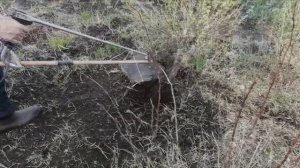 Мотокоса с самодельной фрезой.