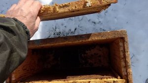 Выпал снег, есть потери