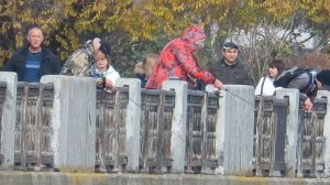 Трейлер Чемпионат Воронежской области ловле по спиннингом с берега 2017